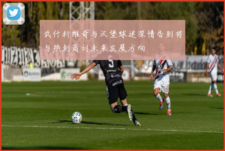 武什科维奇与汉堡球迷深情告别将与热刺商讨未来发展方向